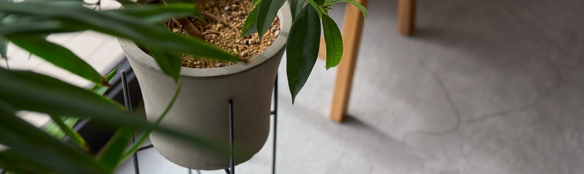 ご予約はこちらから